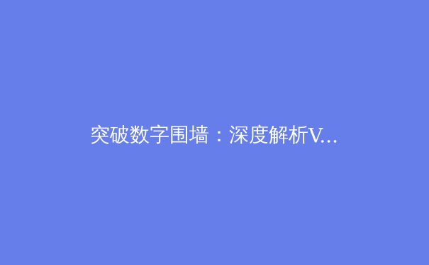 突破数字围墙：深度解析VPN技术原理与全球网络自由新趋势 - 4