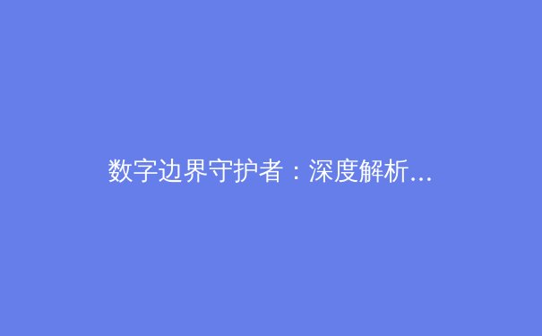 数字边界守护者：深度解析VPN技术演进与未来隐私安全趋势 - 3