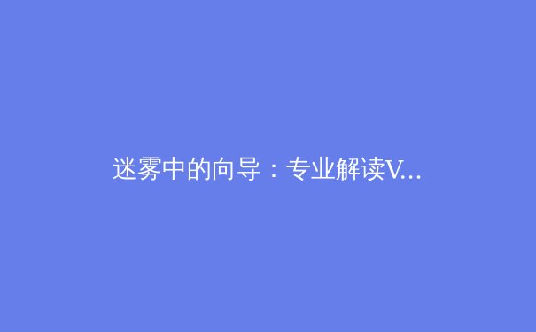 迷雾中的向导：专业解读VPN技术革新与全球网络新格局 - 3