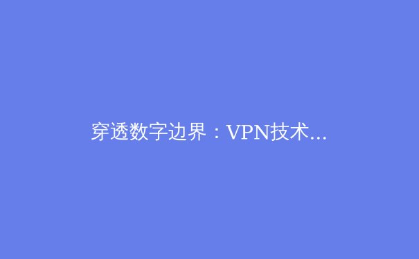穿透数字边界：VPN技术演进与未来网络安全格局深度解析 - 3