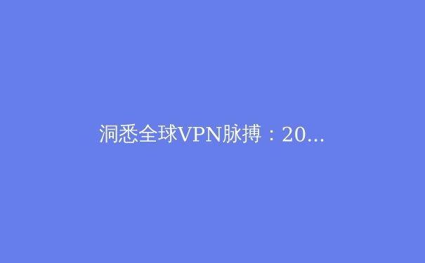 洞悉全球VPN脉搏：2024年趋势、安全指南与网络自由的未来 - 4