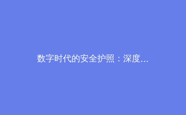 数字时代的安全护照：深度解析VPN技术演进与全球资讯封锁突破策略 - 3