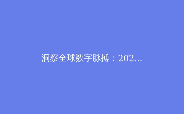 洞察全球数字脉搏：2024年VPN技术演进与网络安全趋势深度解析 - 4